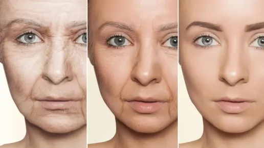 Stanford-Linked Scientists Found a Sea Creature That May Reverse Signs of Aging in the Brain