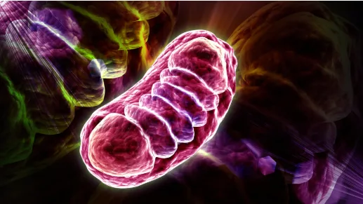 Scientists Find How 'Zombie' Cells Fuel Inflammation as We Age